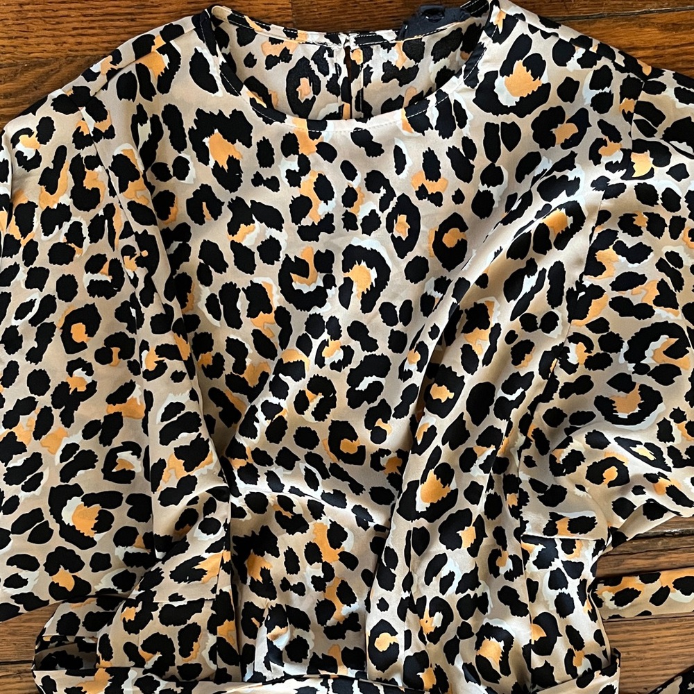 Leopard Print Dress - Picture 3 of 5